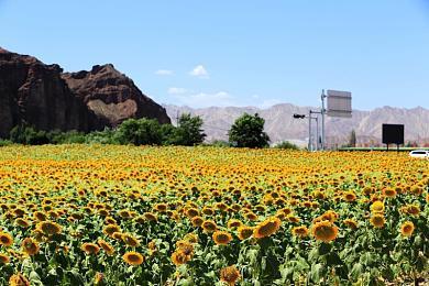 《荣耀战魂》新万圣节活动公布 4人大战蜘蛛怪